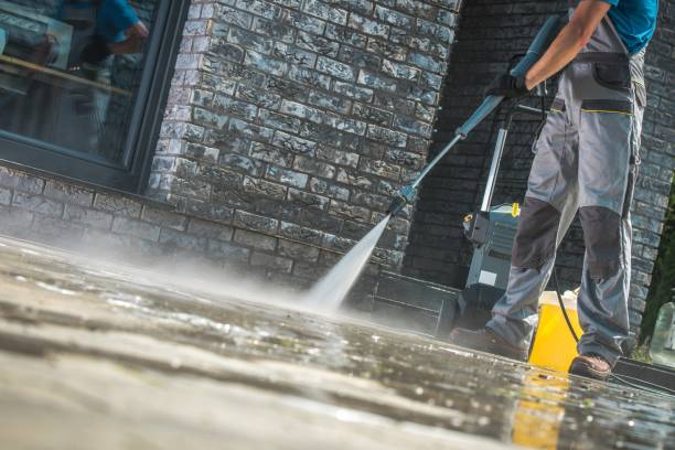 Best Dumpster Area Cleaning  in Rockford, MN