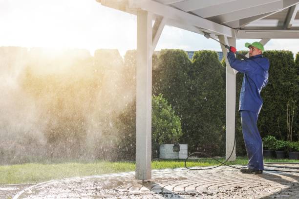 Best Animal Enclosure Cleaning  in Rockford, MN