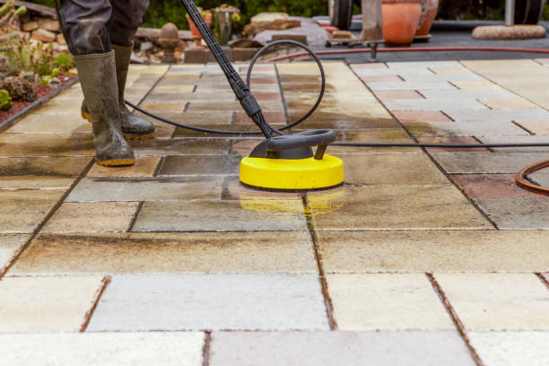 Best Oil Spill Cleanup  in Rockford, MN
