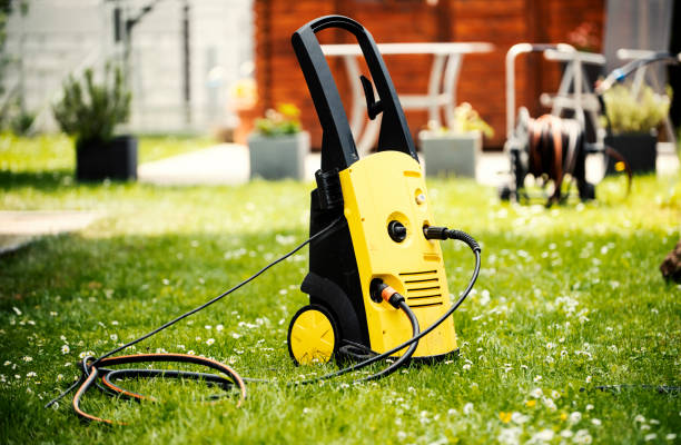 Best Rust Removal  in Rockford, MN